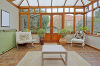 free Illey conservatory quotes